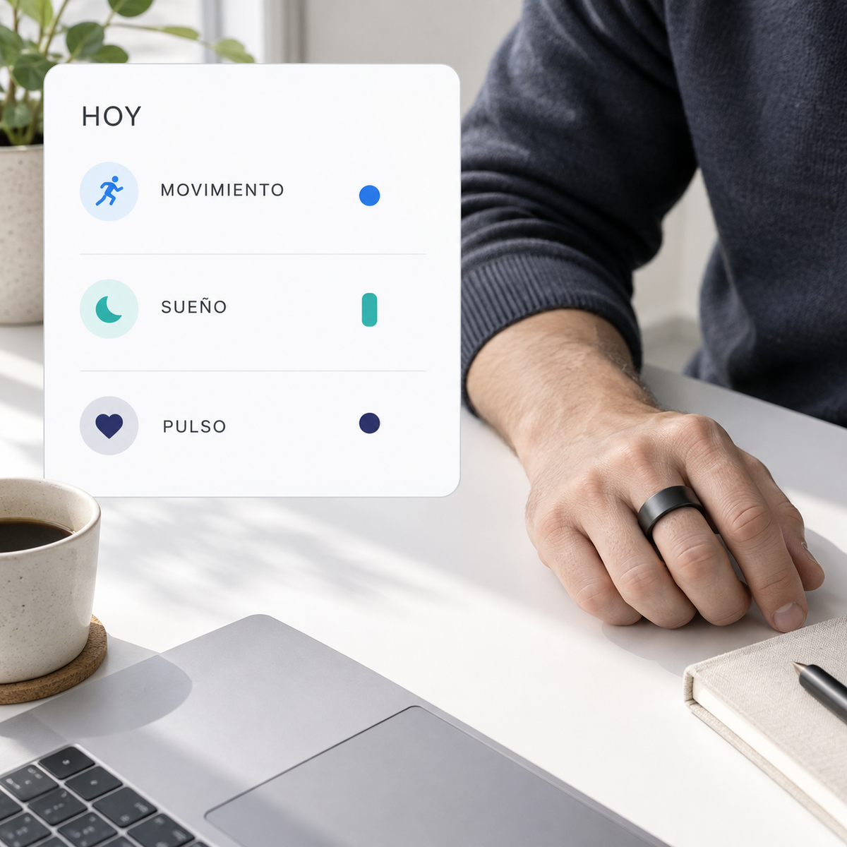 Un solo día de datos del Smart Ring V490